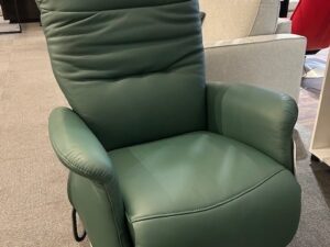 Cygnet Electric Recliner